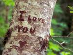 love 2 toi